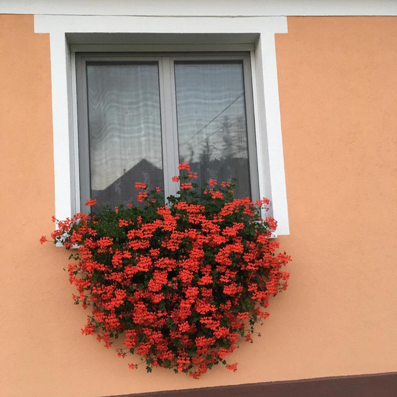 Liliom Vendeghaz Hotel Bakonybél Buitenkant foto